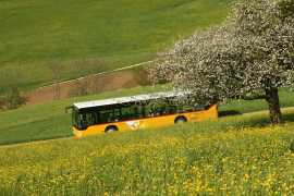 Wir empfehlen mit den öffentlichen Verkehrsmitteln anzureisen, da in Langenbruck nur eine beschränkte Anzahl gebührenpflichtiger Parkplätze angeboten werden können.