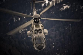 Super Puma Display Team